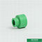 Koppelung PPR-Fittings-PPR   PPR-Sockel ISO9001 DIN8077/8078 färben Soem-Größe 20-160mm
