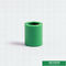 20mm grünes Kunststoffrohr, das gleiche Koppelung Ppr für Haus mit Soem-ODM passt